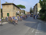 gal/2005/2005-10 Fondo Valdarbia 2005/1 - Partenza/_thb_CIMG0340-01.jpg